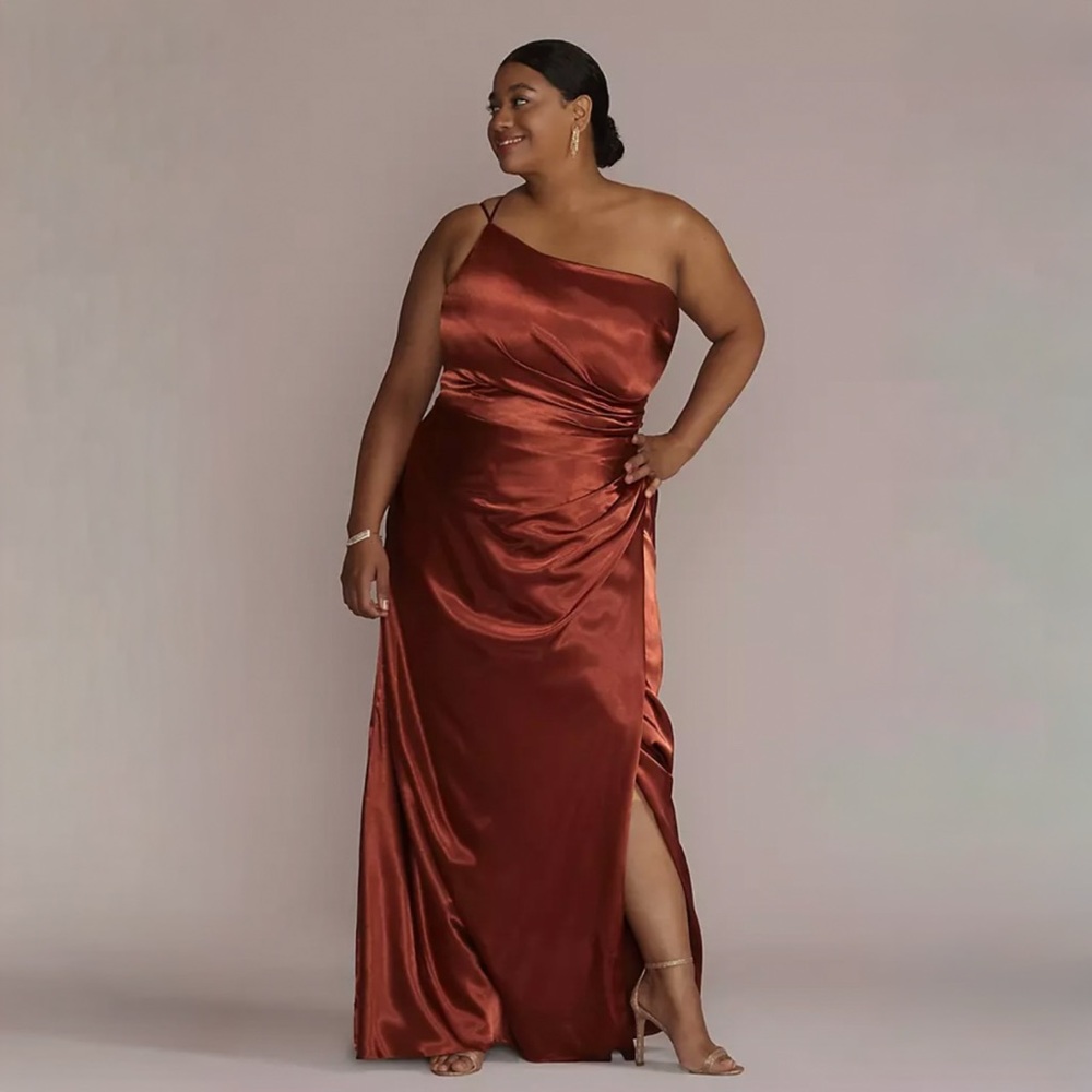 Galina Signature Dress from David’s Bridal Cinnamon Size 20